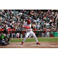 Max Murphy at bat for the Winnipeg Goldeyes
