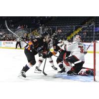 Adirondack Thunder goaltender Jeremy Brodeur vs. the Reading Royals