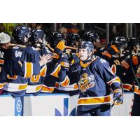 Greenville Swamp Rabbits forward Jack Brackett