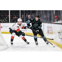 San Jose Barracuda defenseman Luca Cagnoni handles the puck vs. the Coachella Valley Firebirds