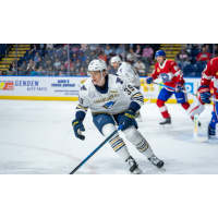 Springfield Thunderbirds forward Matt Luff