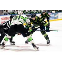 Florida Everblades forward Tarun Fizer (right) in the faceoff circle