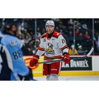Grand Rapids Griffins forward Chad Hillebrand