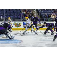 Wheeling Nailers forward Max Graham vs. the Greensboro Gargoyles