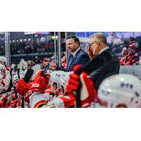 Grand Rapids Griffins Head Coach Dan Watson