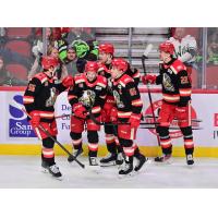 Grand Rapids Griffins on game night