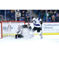 Vancouver Giants' Burke Hood battles Victoria Royals' Heath Nelson
