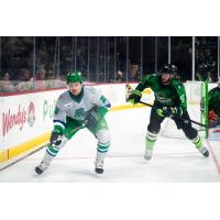Florida Everblades forward Anthony Romano (left) vs. the Savannah Ghost Pirates