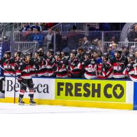Belleville Senators congratulate Mark Duarte along the bench
