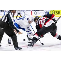 Belleville Senators centre Keean Washkurak (right) faces off with the Toronto Marlies