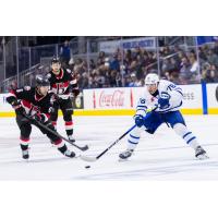 Belleville Senators vs. the Toronto Marlies