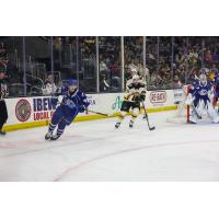 Syracuse Crunch defenseman Matteo Pietroniro (left)