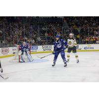 Syracuse Crunch vs. the Providence Bruins