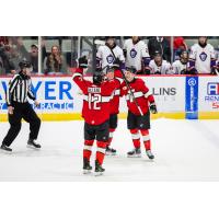 Adirondack Thunder celebrate a goal
