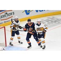 Greenville Swamp Rabbits vs. the Norfolk Admirals