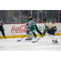 Florida Everblades forward Tarun Fizer