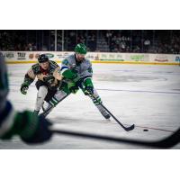 Florida Everblades forward Hudson Elynuik vs. the Savannah Ghost Pirates