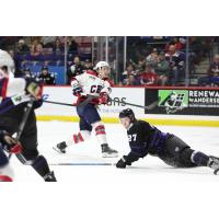 South Carolina Stingrays forward Jalen Luypen
