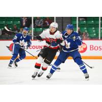 Belleville Senators right wing Xavier Bourgault vs. the Toronto Marlies