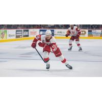 Grand Rapids Griffins center Sheldon Dries