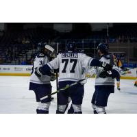 Worcester Railers react following a goal