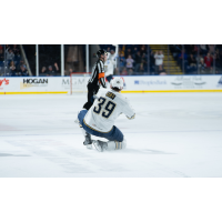 Springfield Thunderbirds right wing Matt Luff