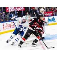 Belleville Senators centre Jan Jeník