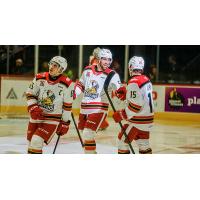 Grand Rapids Griffins exchange congratulations following a goal