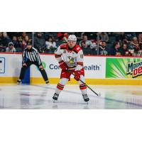 Grand Rapids Griffins left wing John Leonard