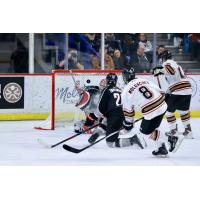 Vancouver Giants goaltender Kelton Pyne vs. the Calgary Hitmen