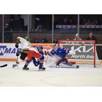 Kitchener Rangers goaltender Jason Schaubel vs. the North Bay Battalion