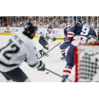 Greenville Swamp Rabbits battle the South Carolina Stingrays
