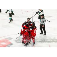 Rapid City Rush celebrate a goal