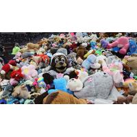 Hershey Bears Teddy Bear Toss