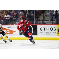 Forward Tanner Edwards with the South Carolina Stingrays