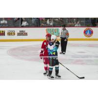 Allen Americans vs. the Tahoe Knight Monsters