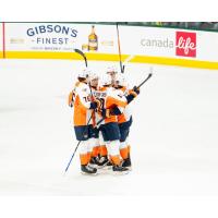 Flint Firebirds on game night