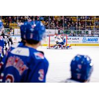 Barrie Colts' Alexander Assadourian battles Kitchener Rangers' Jason Schaubel