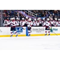 South Carolina Stingrays on game night