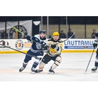 Worcester Railers' Anthony Repaci versus Wheeling Nailers' Owen Cole