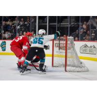 Allen Americans' Sam Sedley and Tahoe Knight Monsters' Devon Paliani in action