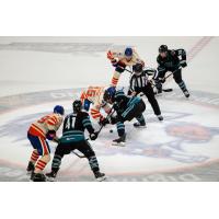 San Jose Barracuda versus the Bakersfield Condors