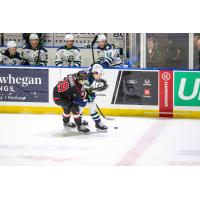Adirondack Thunder forward Brannon McManus (left) vs. the Maine Mariners