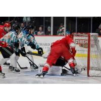 Allen American battle the Tahoe Knight Monsters