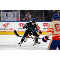 San Jose Barracuda's Luca Cagnoni in action