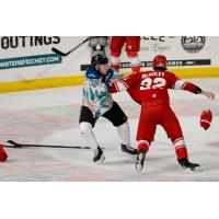 Colby McAuley of the Allen Americans fights with the Tahoe Knight Monsters