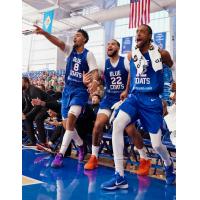 Delaware Blue Coats cheer from the bench