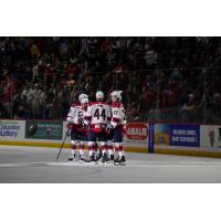 South Carolina Stingrays huddle after a goal