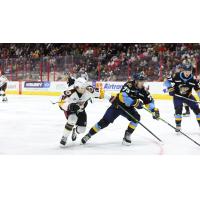 Toledo Walleye forward Nate Roy (right)