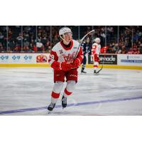 Grand Rapids Griffins center Nate Danielson